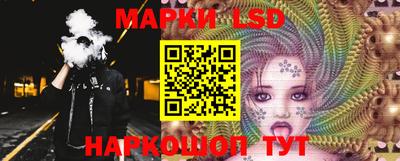 mdpv Новодвинск