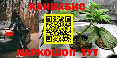 бошки Новозыбков
