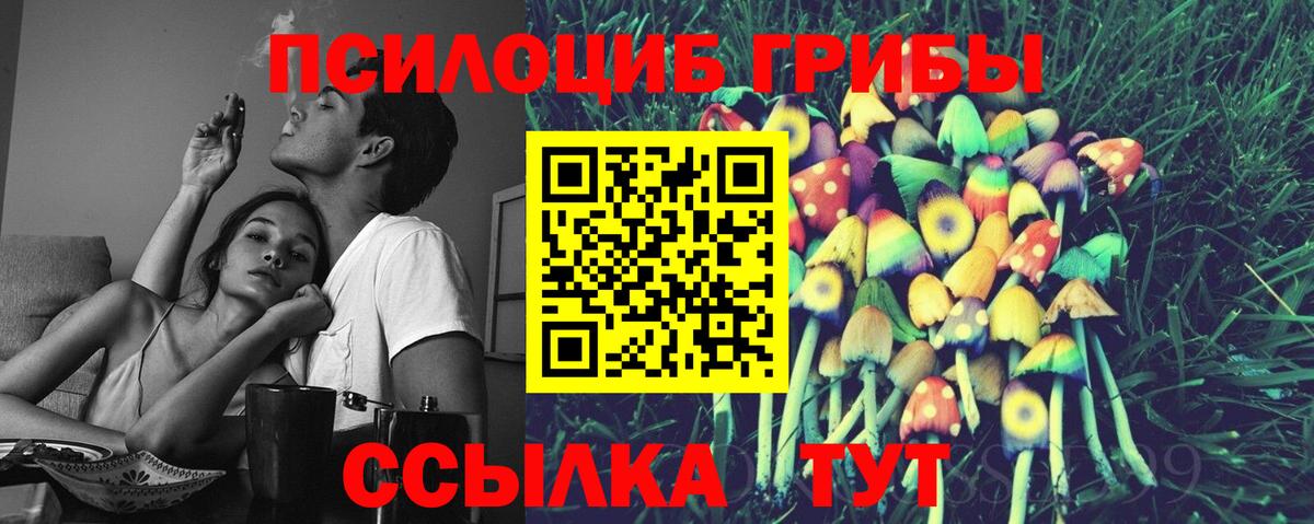 Галлюциногенные грибы Cubensis Троицк