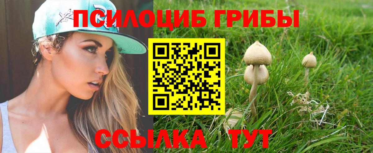 Псилоцибиновые грибы мухоморы  Псилоцибиновые грибы мухоморы  Вход с VPN  Троицк 